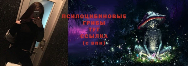 эйфоретик Горняк