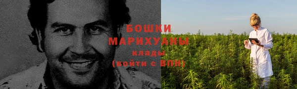 ПСИЛОЦИБИНОВЫЕ ГРИБЫ Горно-Алтайск