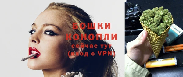 spice Гусев