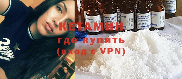 прущие грибы Дубовка