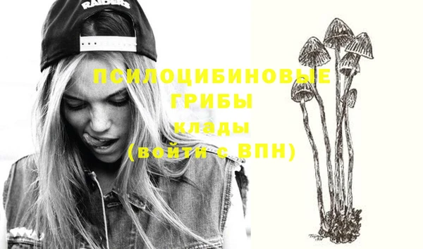 ПСИЛОЦИБИНОВЫЕ ГРИБЫ Горно-Алтайск