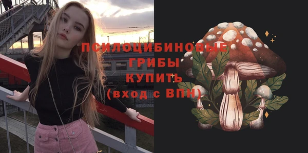 ПСИЛОЦИБИНОВЫЕ ГРИБЫ Горно-Алтайск