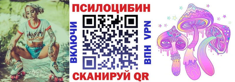 купить наркоту  Нязепетровск  Псилоцибиновые грибы Psilocybe 
